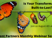 Is Your Procurement Transformation Built to Last?