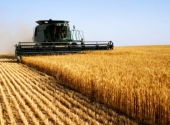 Harvesting Supplier Innovation (Part 2)