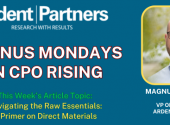 Magnus Mondays — Navigating the Raw Essentials: A Primer on Direct Materials