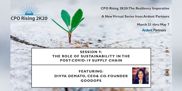 The Resiliency Imperative – The Role of Sustainability in the Post-COVID-19 Supply Chain (Session 9 Overview)