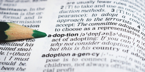 The Adoption Series (1)