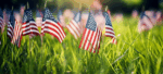 Happy Memorial Day From Ardent Partners